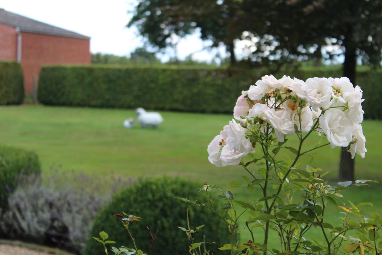 Bed and Breakfast Mille Étoiles Moorsel Exterior foto
